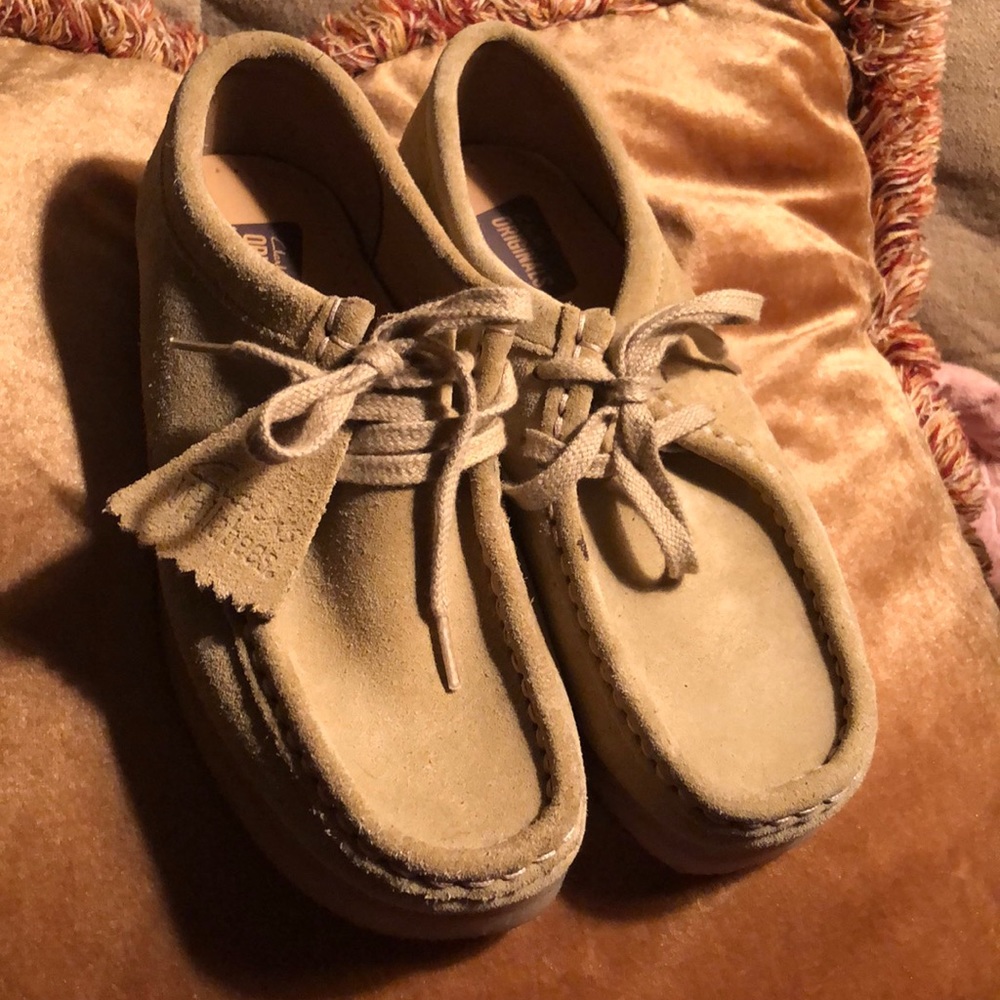 Clark’s wallaby’s